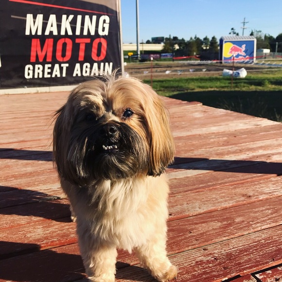 Meet your Posher, Cameron - Picture 3 of 3